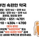 속편한동물약국 이미지