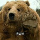 와임
