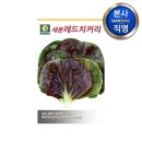 새론농장 이미지