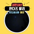 발리 녜삐데이. 하얏트호텔 안다즈 발리 리조트에서 특별한 하루보내기
