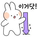 카페더뷰티풀