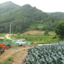 토지주인 직거래 매물 충북 제천시 토지매매 이미지