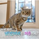 라라농장 이미지