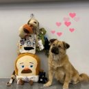 놀러오개 이미지