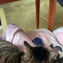 (주)예 이미지