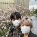 무코(mukko)