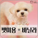 펫미용 이미지