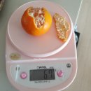 (주)포라
