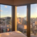바이쮸즈 | 포포인츠 바이 쉐라톤 서울 강남 프리미어 더블룸 컨디션 조식후기