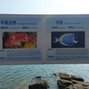 비토어촌계 이미지