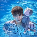 성훈펜션 bnt뉴스