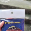 [전남] 여수 이순신광장 여수밤바다 기념품샵 - 여수 맥주, 하이볼 내돈내산 후기
