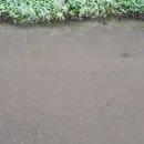 소구월사거리 이미지