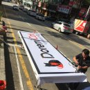 수원고양이분양 도레미캣 이미지