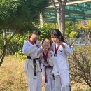 한국체대 정재환 태권도 이미지