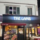 THE램 | [부산 하단 더 램 (THE LAMB)] 양갈비 양꼬치 전문점 양등심 양고기 맛집 내돈내산 솔직후기