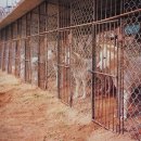 창용농장 이미지