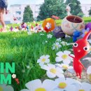 민블룸