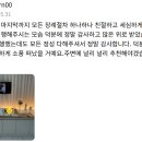 대전 애견 장례 추천 (2025) | 대전 애견 장례 비용, 후기, 정보 총정리