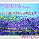 탱고막창 이미지