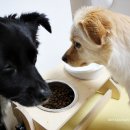 헬시맘마 이미지