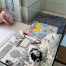 러빙펫(송도점) 이미지