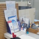 돼지은행 이미지