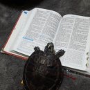 오이코스 이미지