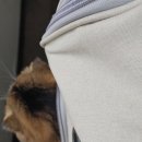 유한동물병원 이미지