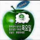 05 03일(목) 신문을 통해 알게된 이야기들 이미지