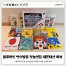세이유치원 | 블루래빗 전집 언어발달 첫놀잇감 내돈내산 솔직후기
