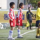 삼호초등학교 이미지