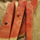 성현농장 이미지