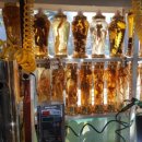 장수건강원 이미지