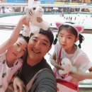 제주기사 이미지