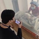 유성구 달콤씨 대전일보