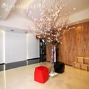 대치동 미용실 엠아이디자인 위치 정보
