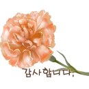 강원도 횡성군 횡성읍 태풍로 이미지