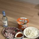 돌고래 펜션 이미지