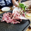 오리한마리 이미지