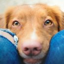 세바환경 이미지