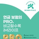 라이프
