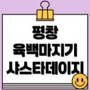 장성호관광지 매점화장실 | 평창 육백마지기 샤스타데이지 개화 시기·위치·주차 정보 총정리