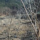 마루미농장 이미지