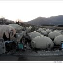 스머프팜 이미지