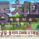 디엠비알 이미지