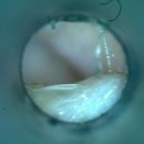 훈동물병원 이미지