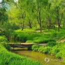 사회적협동조합한강 이미지