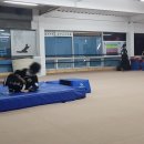 명지합기도스쿨 이미지