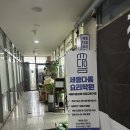 세종다옴요리학원 | 1인가구지원사업 복숭아송편 만들기 후기